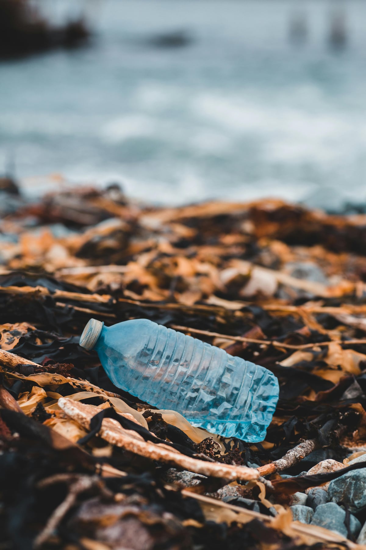 Mikroplasty v našem těle: strategie detoxikace a souvislost se spánkem